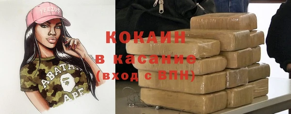 винт Абаза