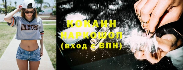 винт Абаза